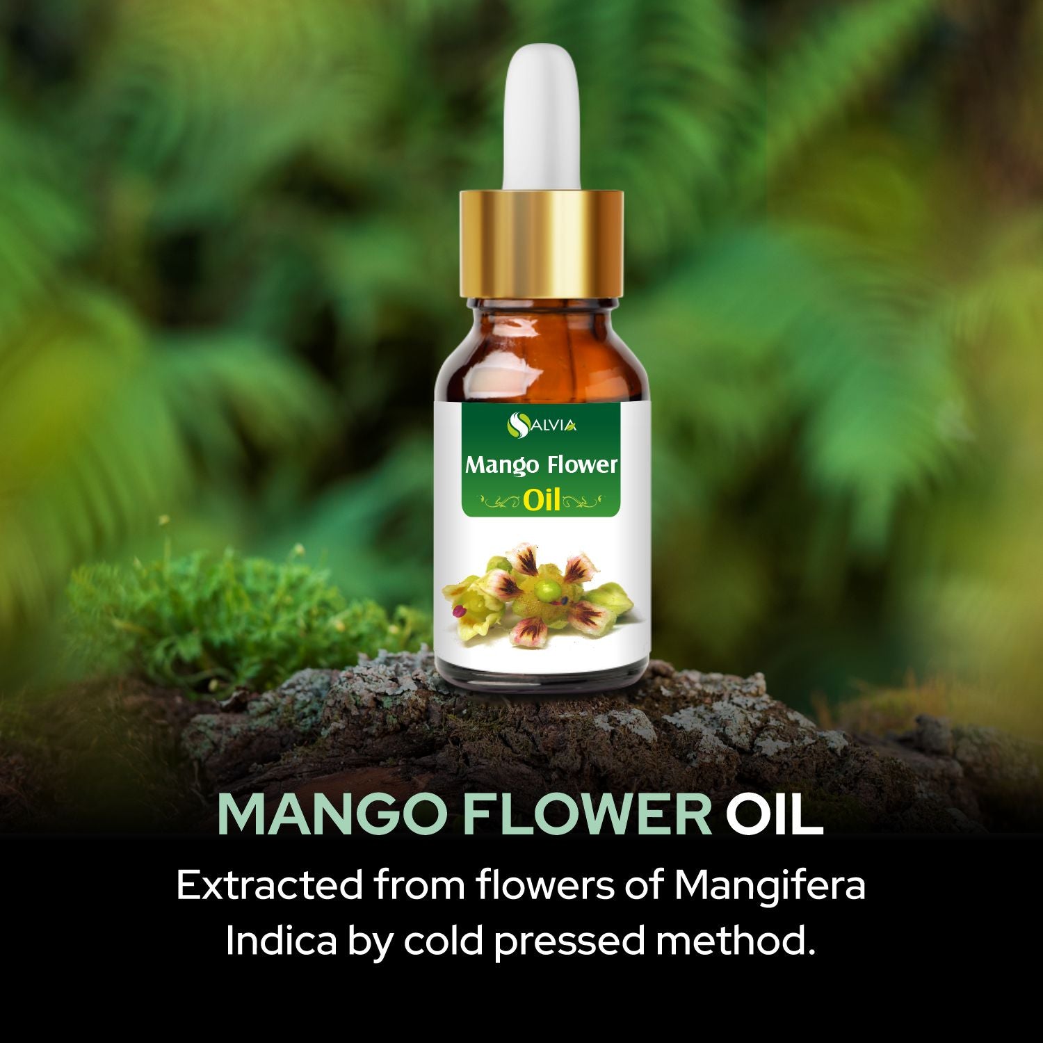 Salvia Natural Essential Oils,Dandruff,Greasy Oil,Anti Fungal,Anti-fungal Oil,Oil for Greasy Hair Mango Flower Oil Salvia Natural Essential Oils,Dandruff,Greasy Oil,Anti Fungal,Anti-fungal Oil,Oil for Greasy Hair Mango Flower Oil